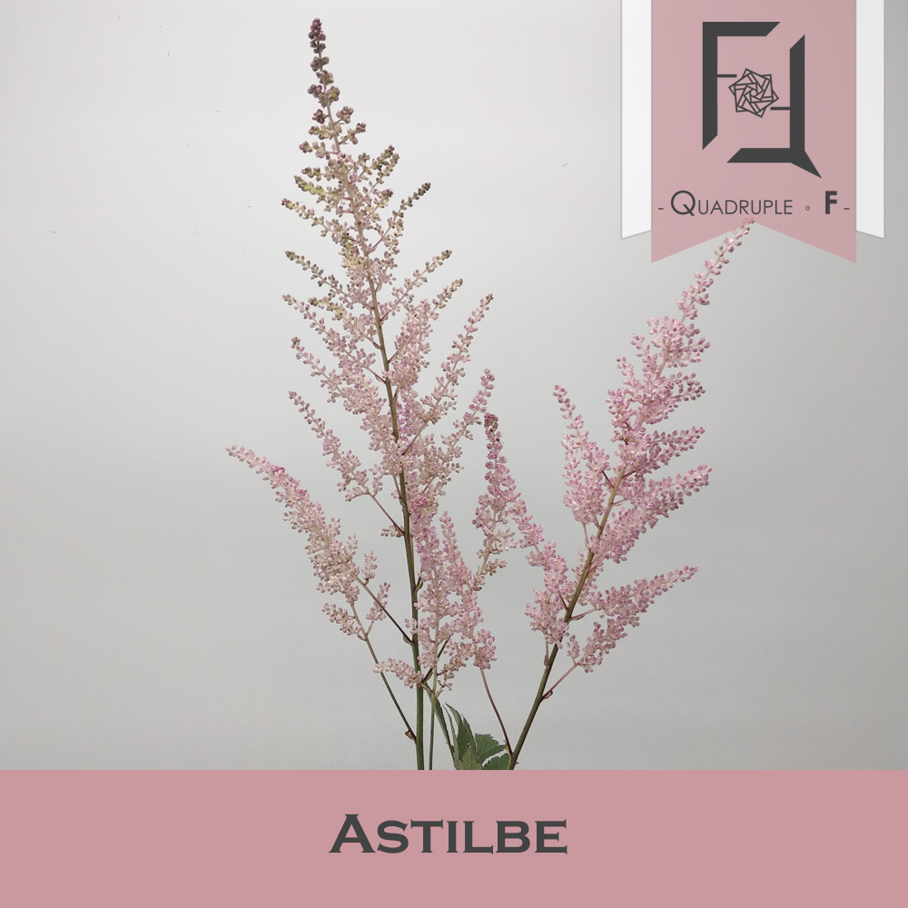 結婚花球中的珊瑚花