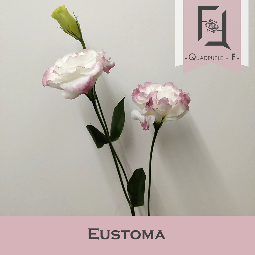 Unveiling the Beauty of Eustoma: A Comprehensive Guide
