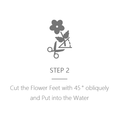 How to maintain Fresh Bouquet Step 2