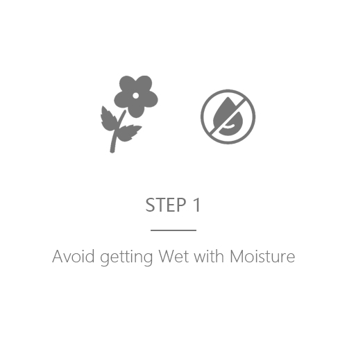 How to maintain Preserved Bouquet Step 1