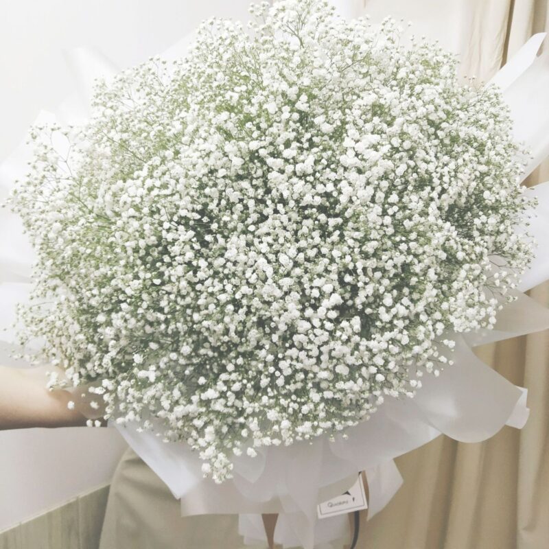 White Baby’s Breath Flower Bouquet Quadruple Flower BH100001 01