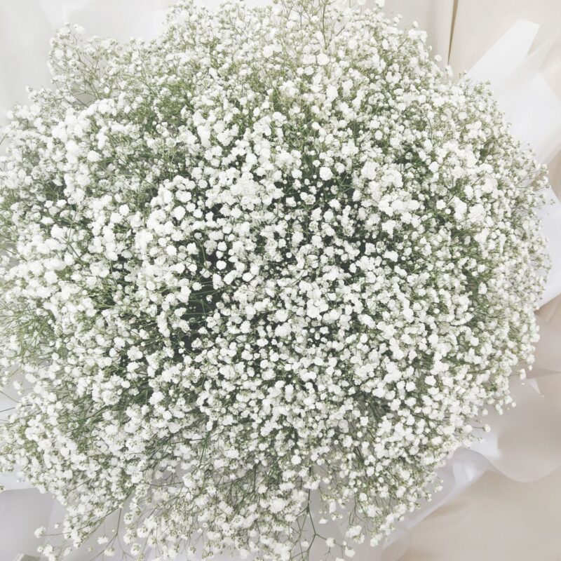 White Baby’s Breath Flower Bouquet Quadruple Flower BH100001 02