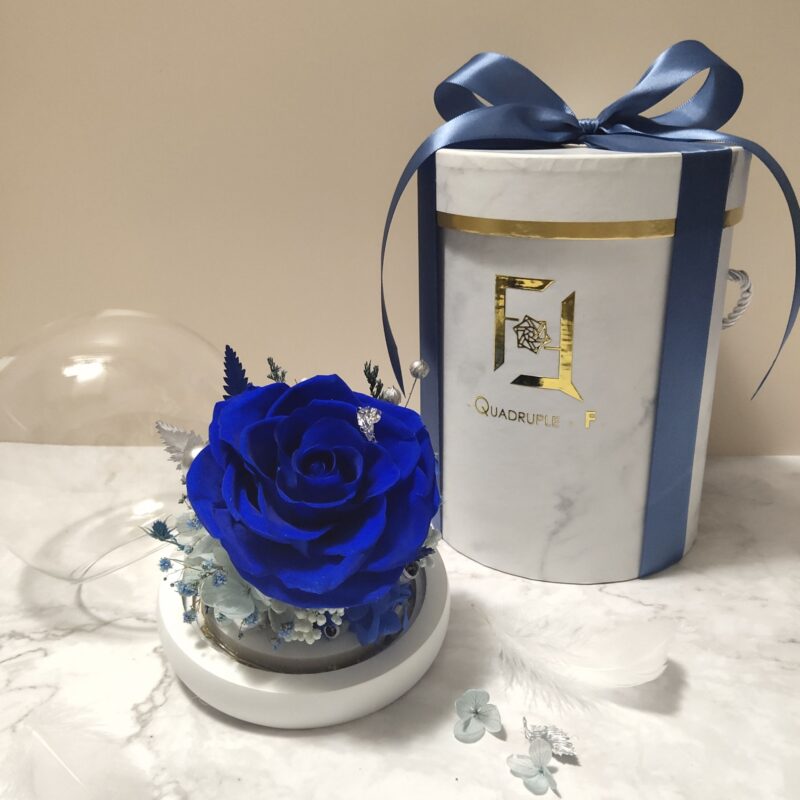 Preserved Flower Blue Rose with Round Glass Dome Quadruple Flower PT010002 03