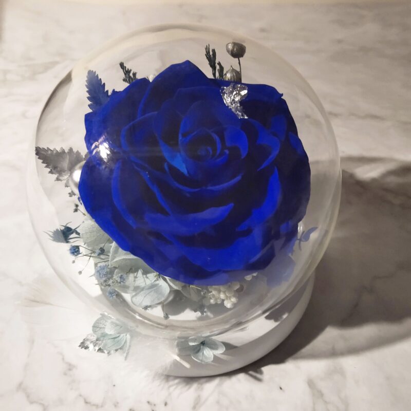 Preserved Flower Blue Rose with Round Glass Dome Quadruple Flower PT010002 04
