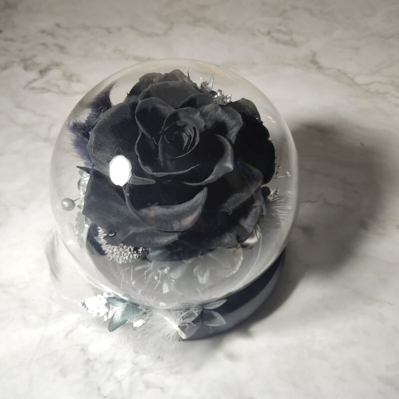 Preserved Flower Black Rose with Round Glass Dome Quadruple Flower PT010003 04