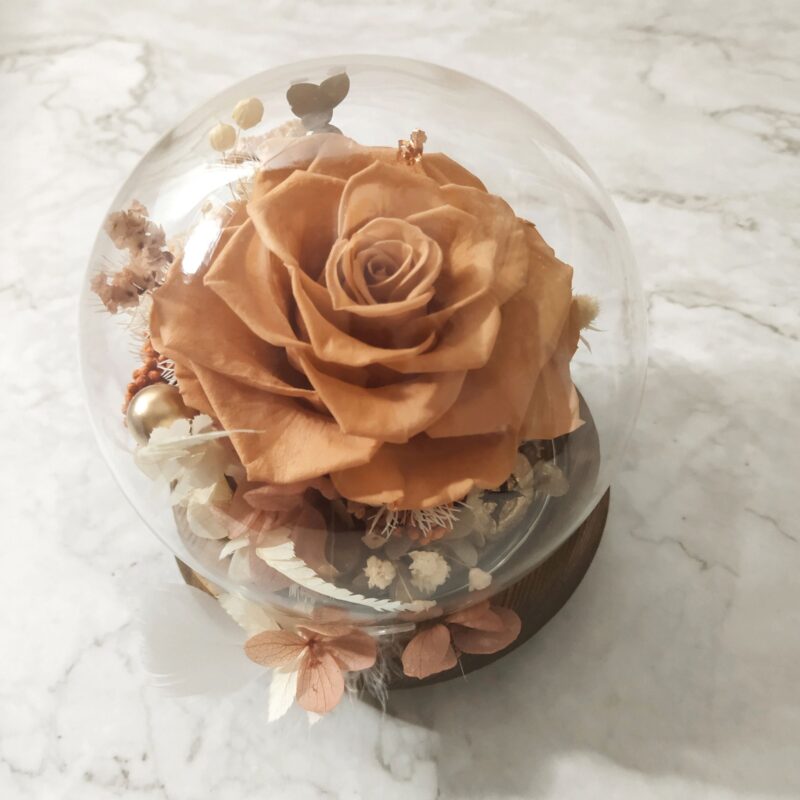 Preserved Flower Orange Rose with Round Glass Dome Quadruple Flower PT010004 04