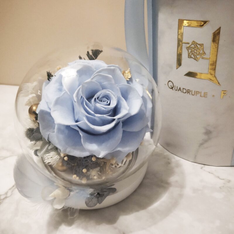 Preserved Flower Light Blue Rose with Round Glass Dome Quadruple Flower PT010006 01