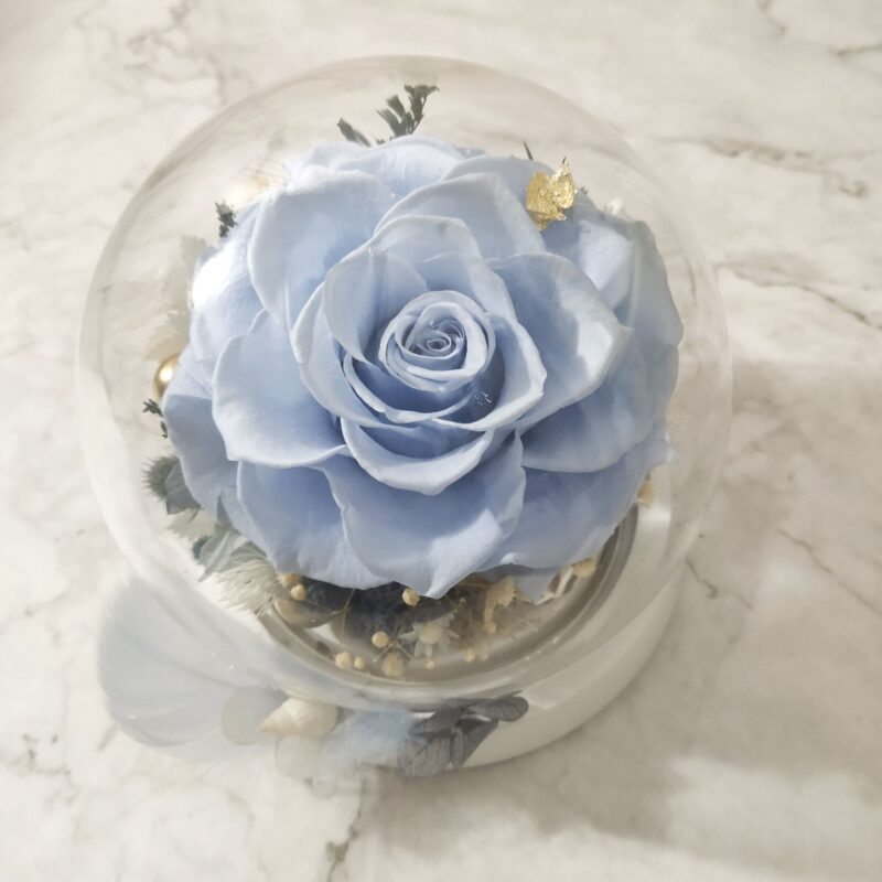 Preserved Flower Light Blue Rose with Round Glass Dome Quadruple Flower PT010006 04