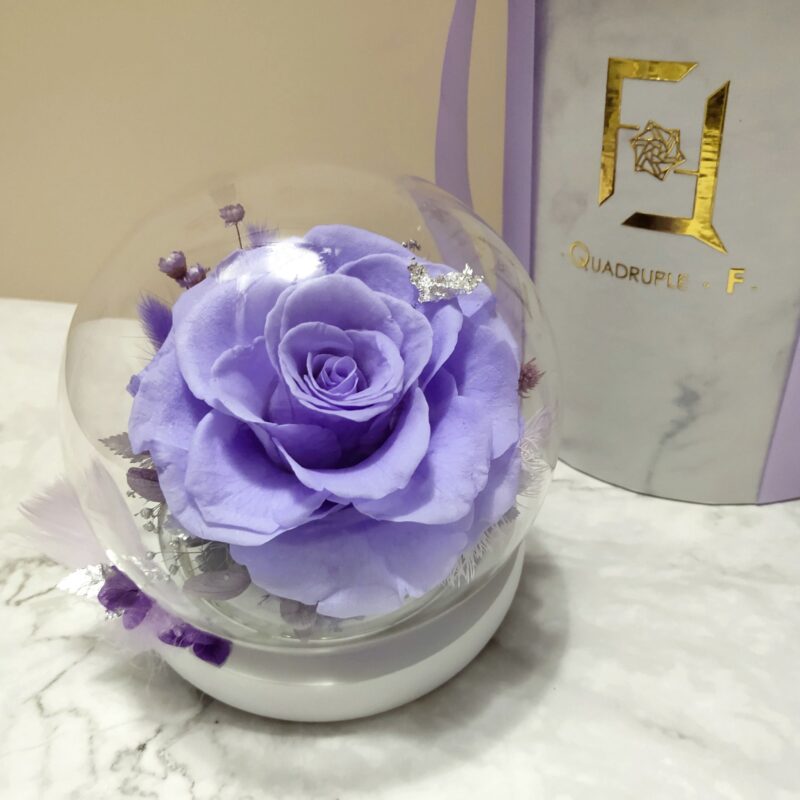 Preserved Flower Light Purple Rose with Round Glass Dome Quadruple Flower PT010007 01
