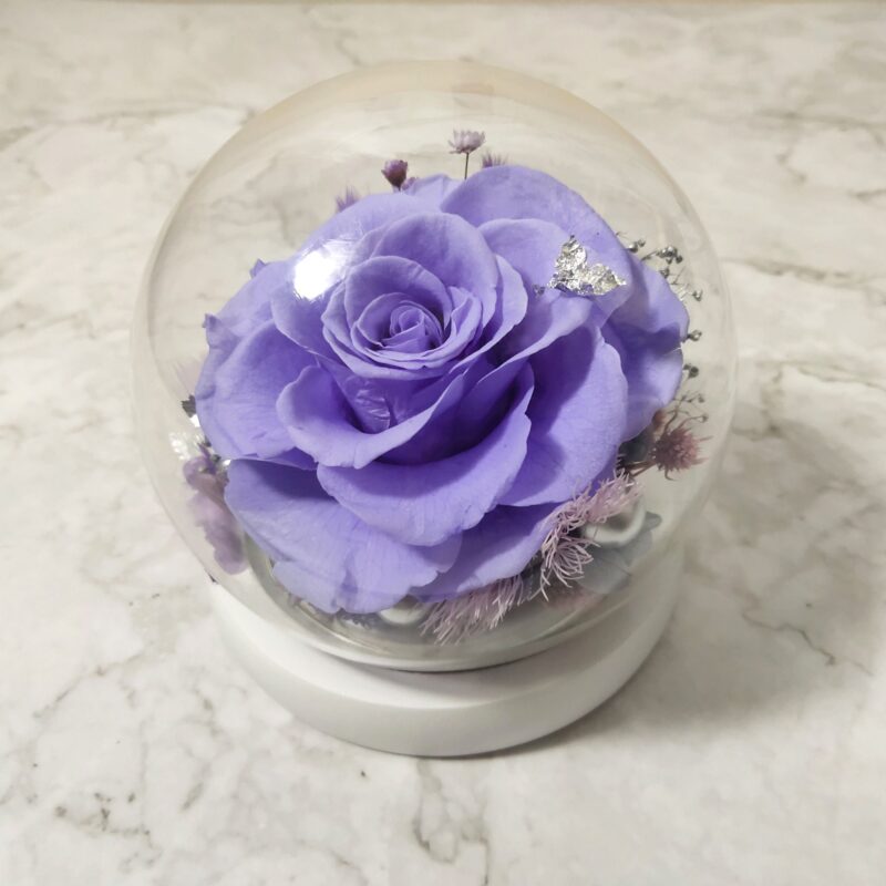 Preserved Flower Light Purple Rose with Round Glass Dome Quadruple Flower PT010007 04