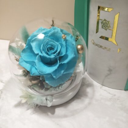 Preserved Flower Tiffany Rose with Round Glass Dome Quadruple Flower PT010008 01
