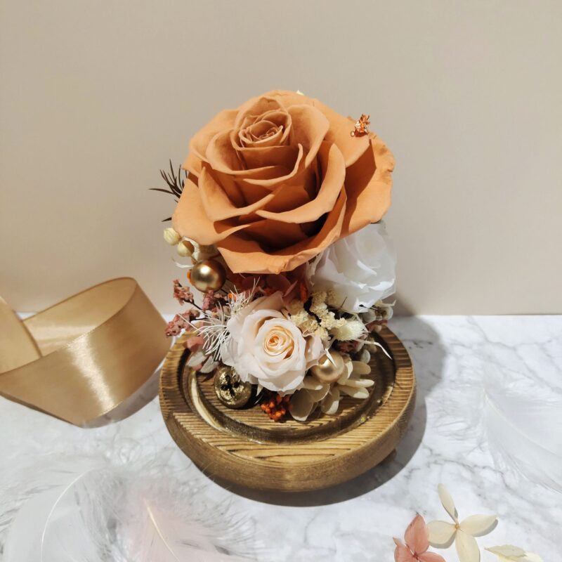 Preserved Flower Orange Rose with Long Glass Dome Quadruple Flower PT010013 03