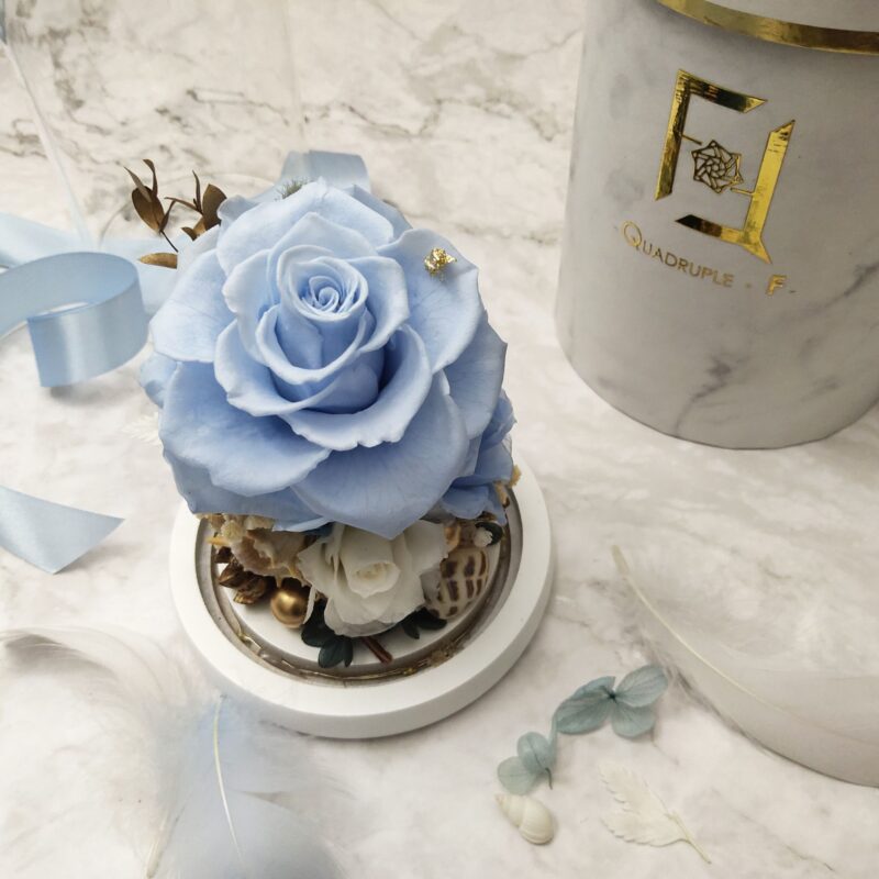 Preserved Flower Light Blue Rose with Long Glass Dome Quadruple Flower PT010015 01