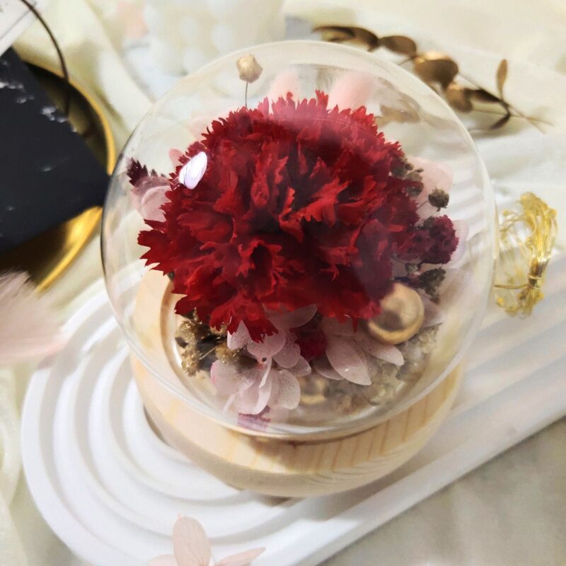 Preserved Flower Red Carnation with Round Glass Dome Quadruple Flower PT070001 03