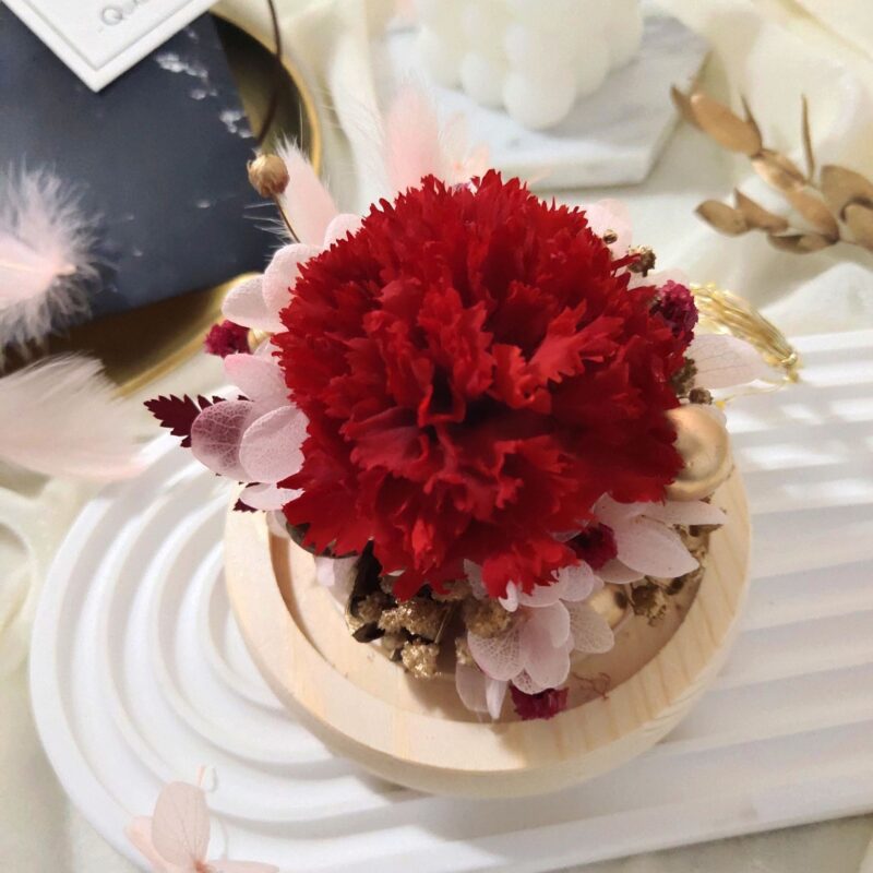 Preserved Flower Red Carnation with Round Glass Dome Quadruple Flower PT070001 04