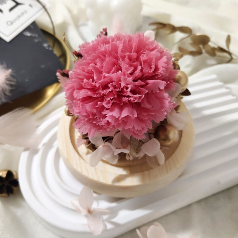 Preserved Flower Hot Pink Carnation with Round Glass Dome Quadruple Flower PT070002 04