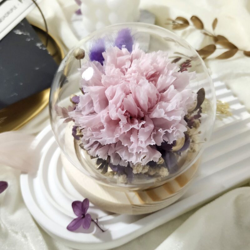 Preserved Flower Pink Carnation with Round Glass Dome Quadruple Flower PT070003 03