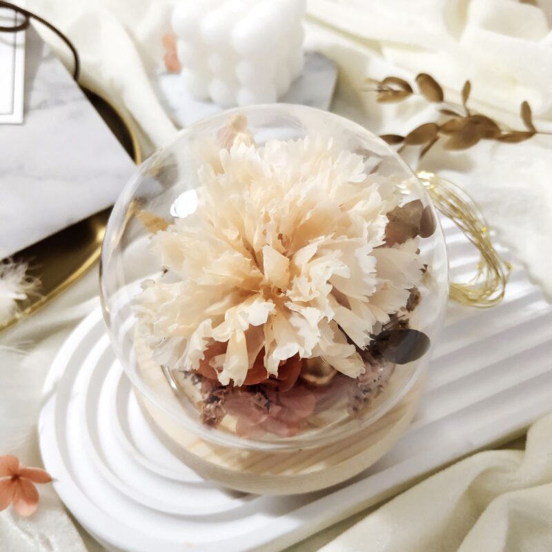 Preserved Flower Champagne Carnation with Round Glass Dome Quadruple Flower PT070005 03