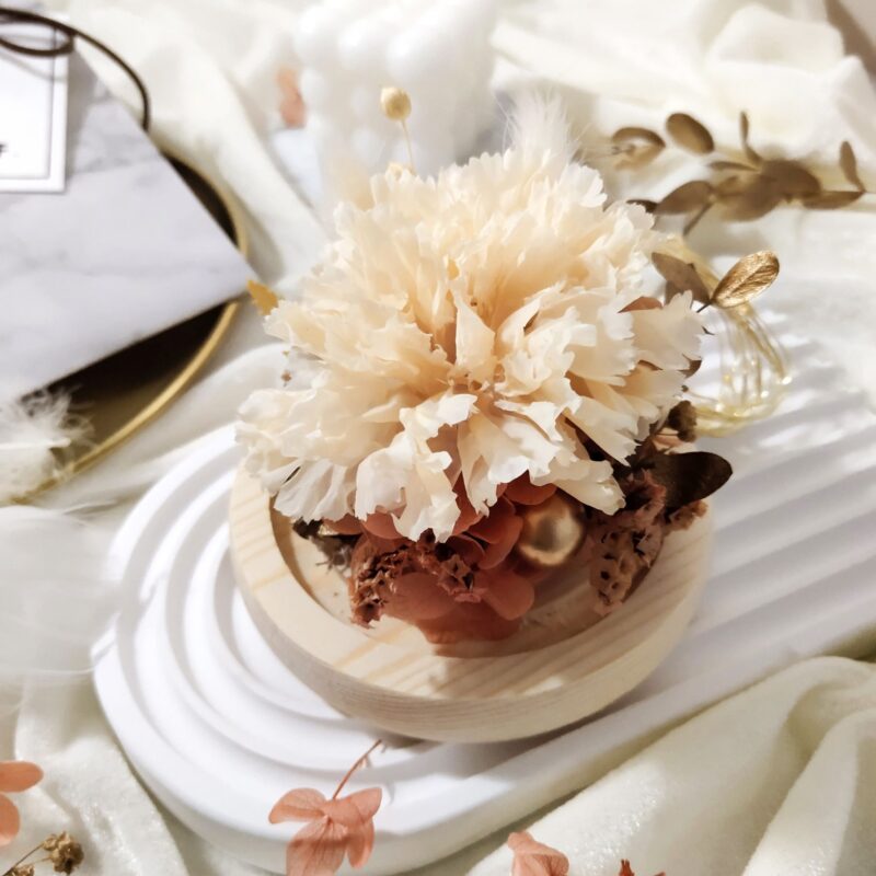 Preserved Flower Champagne Carnation with Round Glass Dome Quadruple Flower PT070005 04