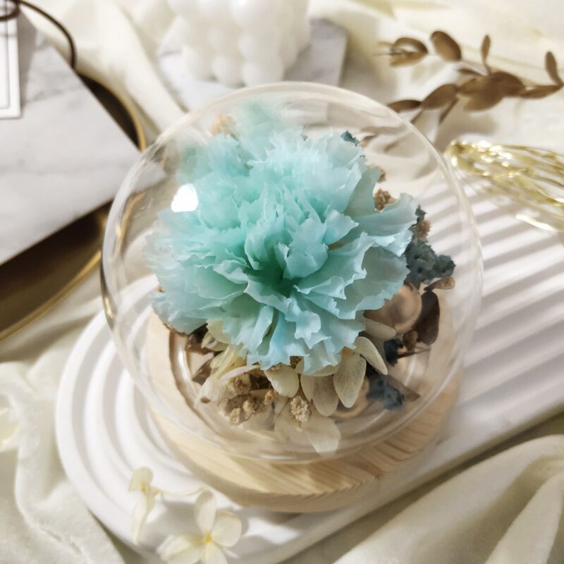 Preserved Flower Tiffany Carnation with Round Glass Dome Quadruple Flower PT070007 03