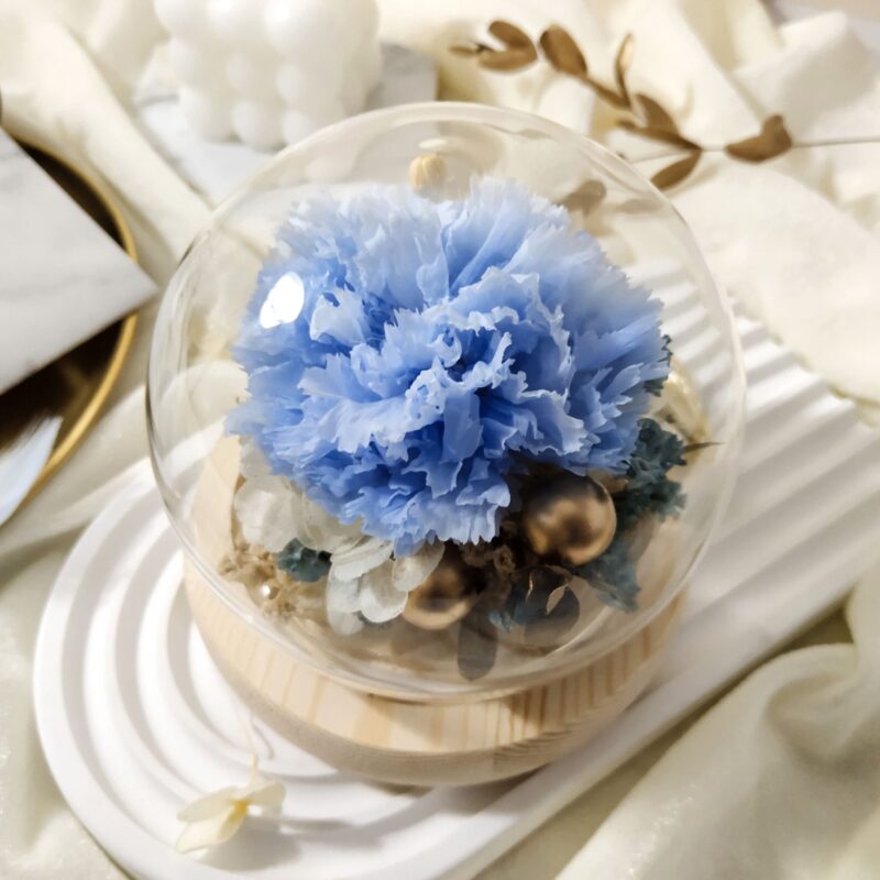 Preserved Flower Light Blue Carnation with Round Glass Dome Quadruple Flower PT070008 03