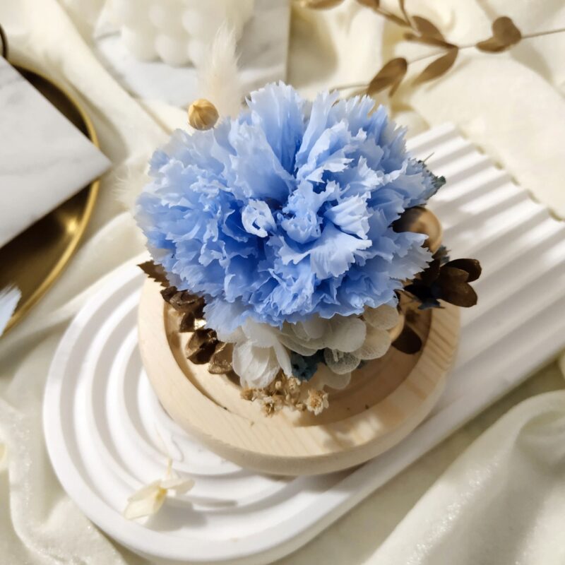 Preserved Flower Light Blue Carnation with Round Glass Dome Quadruple Flower PT070008 04