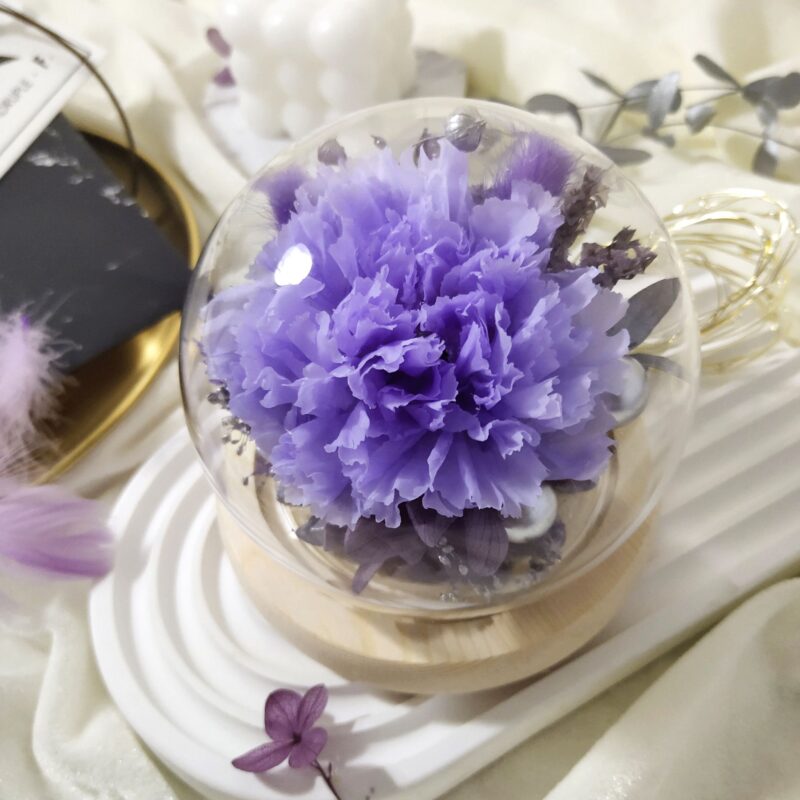 Preserved Flower Light Purple Carnation with Round Glass Dome Quadruple Flower PT070010 03