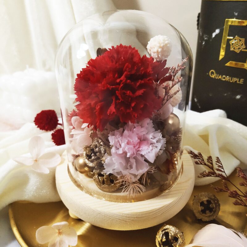 Preserved Flower Red Carnation with Long Glass Dome Quadruple Flower PT070011 04
