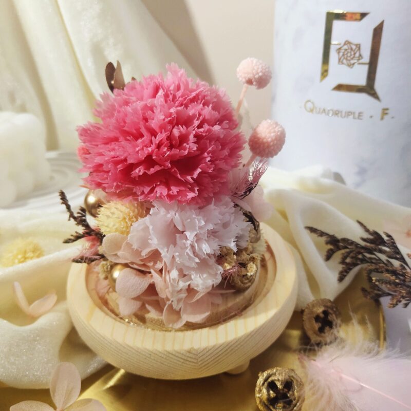 Preserved Flower Hot Pink Carnation with Long Glass Dome Quadruple Flower PT070012 01