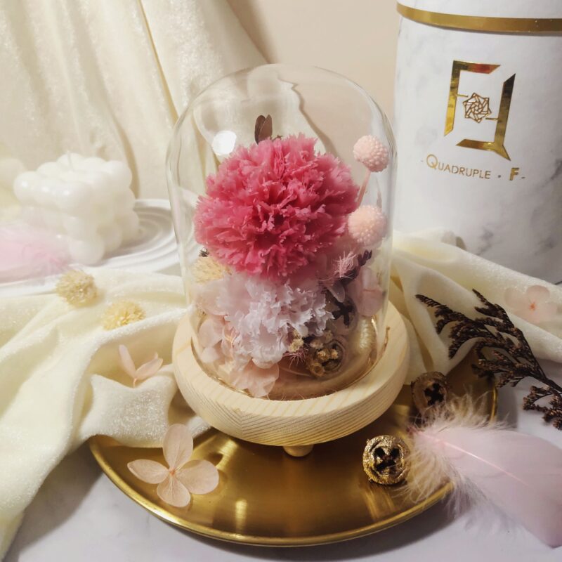 Preserved Flower Hot Pink Carnation with Long Glass Dome Quadruple Flower PT070012 03