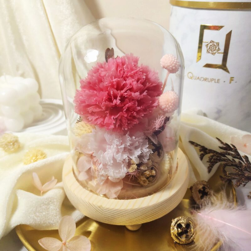 Preserved Flower Hot Pink Carnation with Long Glass Dome Quadruple Flower PT070012 04