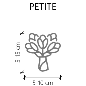 Size Guideline Dry Bouquet petite