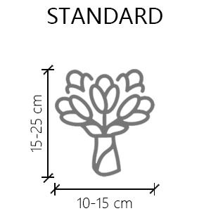 Size Guideline Dry Bouquet standard