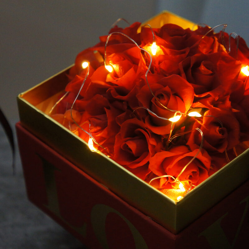Preserved Flower Red Roses Love Box (with Lights) Quadruple Flower PT010019 04