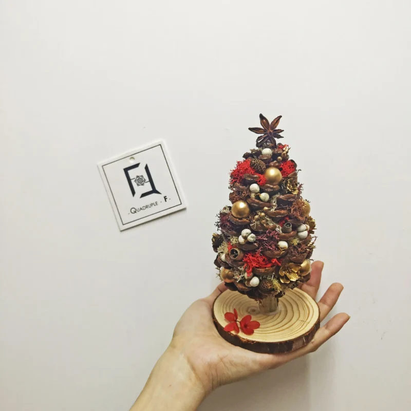 Mini Classic CHRISTMAS Tree | Preserved Flower Red Moss Jumbo Pine Cone Tree