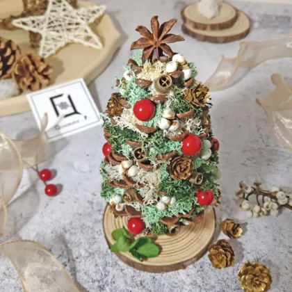 Mini Eternal CHRISTMAS Tree | Preserved Flower Green Moss Jumbo Pine Cone Tree