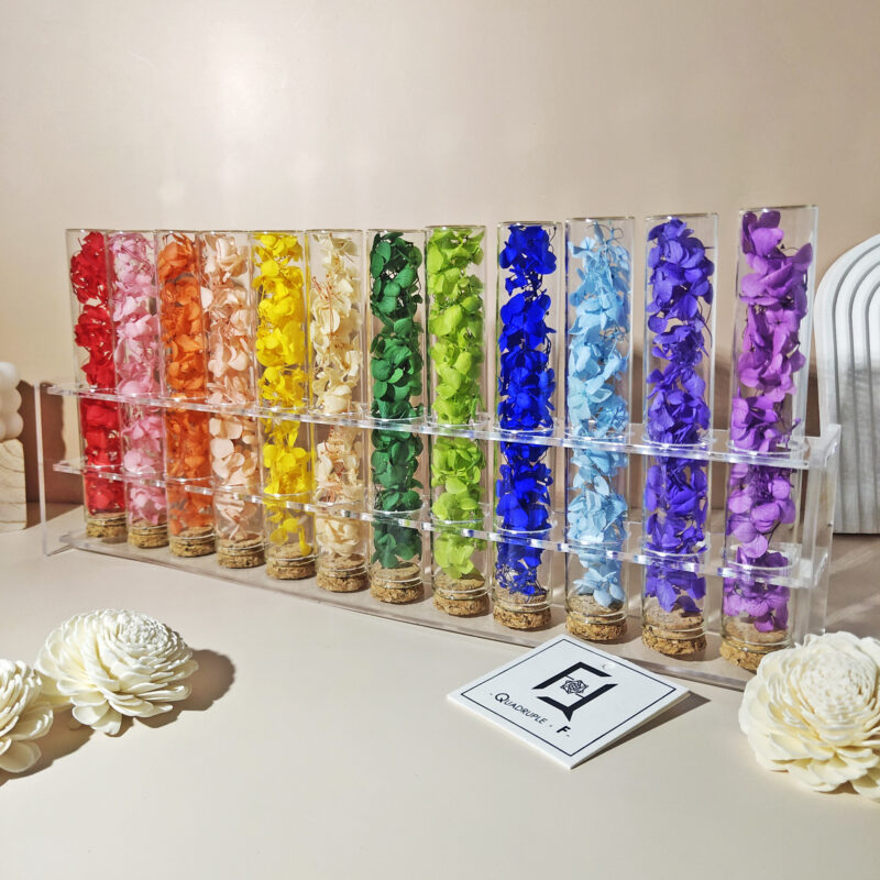 Shades of Rainbow | Preserved Flower Hydrangea Test Tube