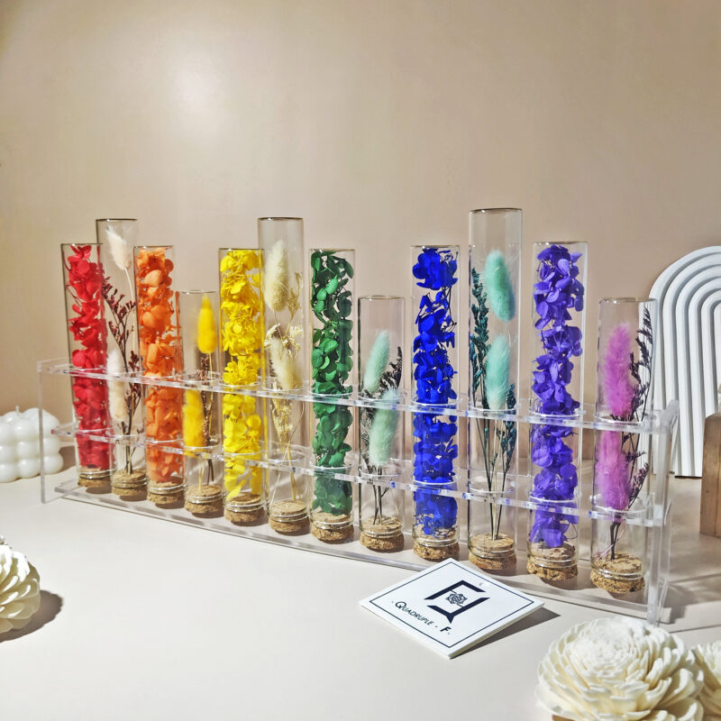 MIX Thick Rainbow | Preserved Flower Hydrangea Test Tube
