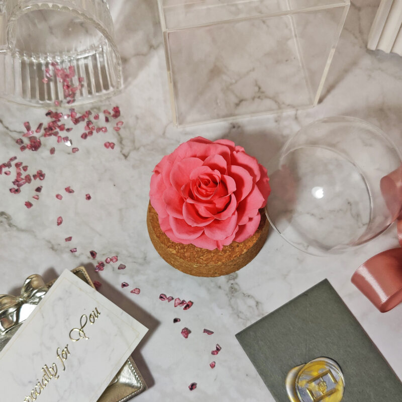 Sweetie Only | Preserved Flower Rose Glass Test Tube