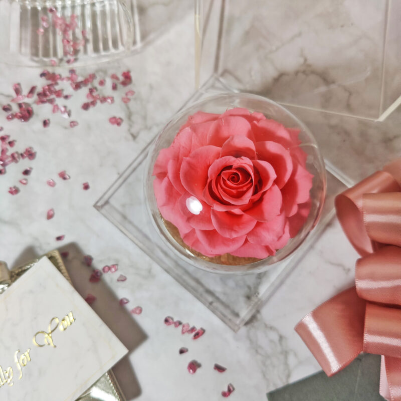 Sweetie Only | Preserved Flower Rose Glass Test Tube