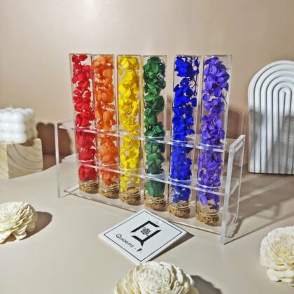 QuadrupleFlower 啟德新蒲崗花店 | 香港花店推介 | 即日送花服務、鮮花花束及花籃高質客製化設計 42 彩虹試管瓶 | 永生花繡球試管瓶