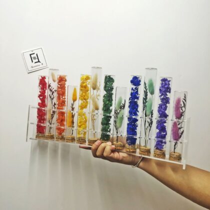 彩虹試管瓶 | 混合永生花繡球試管瓶