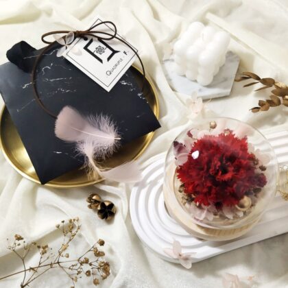 Glass Dome | Preserved Flower Carnation with Round Glass Dome