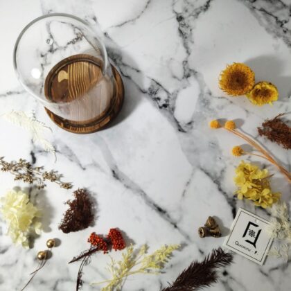 Shiny SUMMER | Preserved Flower Teddy Bear Sunflower with Long Glass Dome