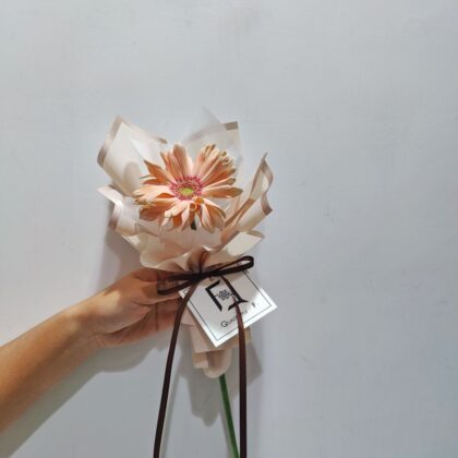 Single-stem-Curled-Petal-Gerbera-Fresh-Flower-Bouquet-BS100014
