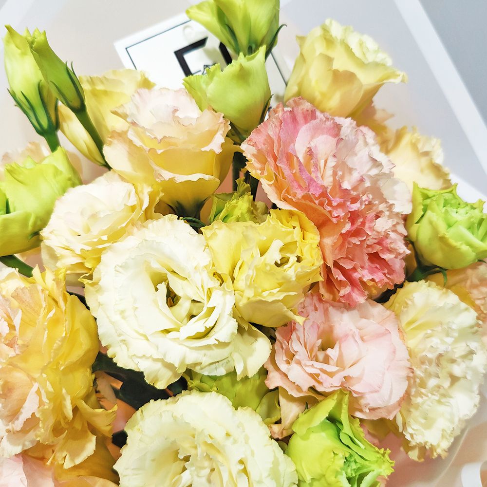 初心如昨 | 香檳洋桔梗鮮花花束 2 初心如昨 | 香檳洋桔梗鮮花花束 - BM100012