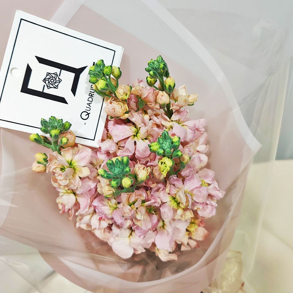 Champagne Breeze | Champagne Stock Fresh Flower Bouquet 2 Champagne Breeze | Champagne Stock Fresh Flower Bouquet - BS100016