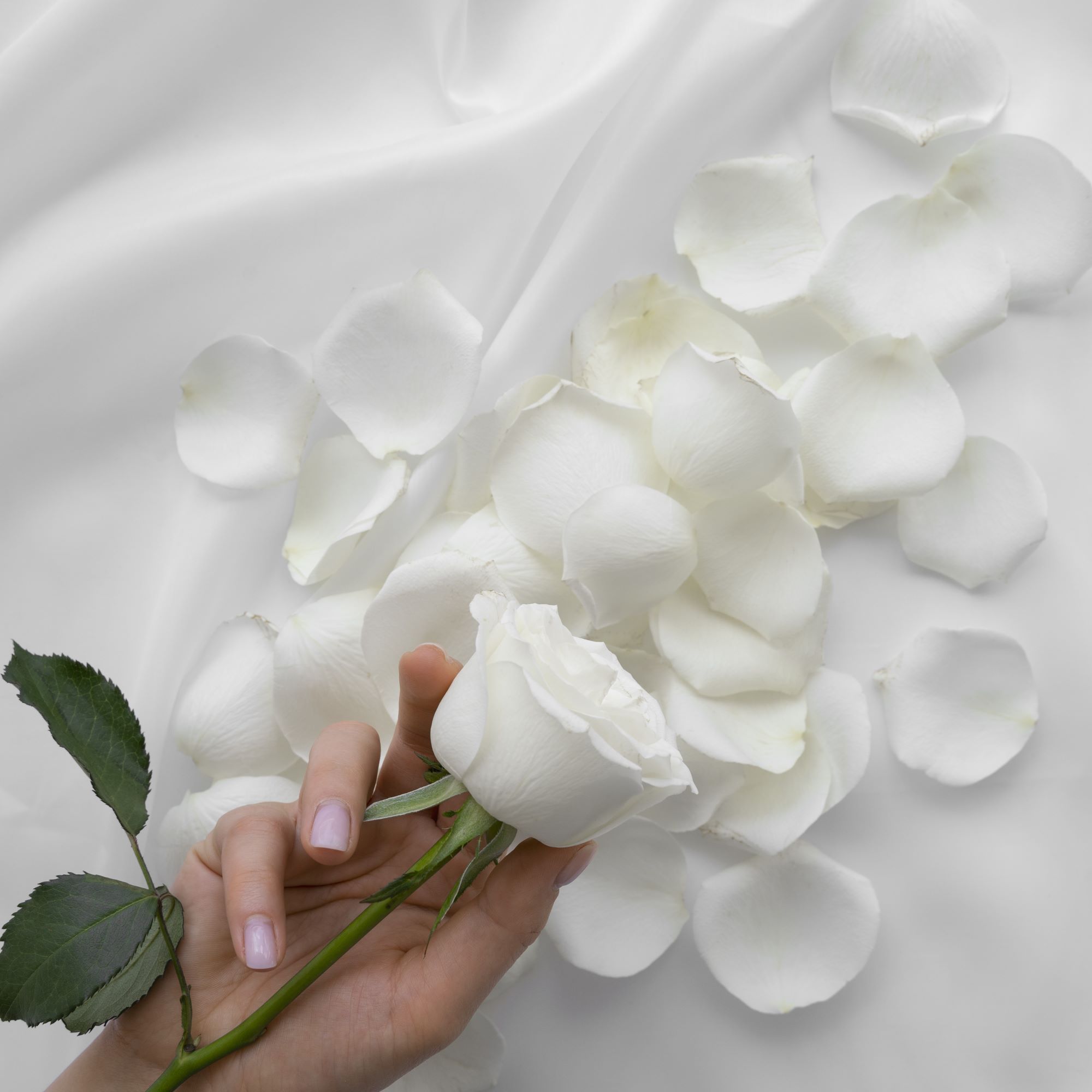 314白色情人節2026封面圖