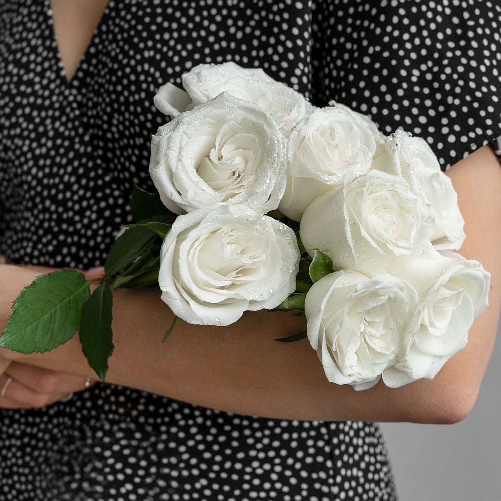 🤍 What to give for March 14th White Day? From Origins to Return Gift Guide, Send the Most Heart-Warming White Romance