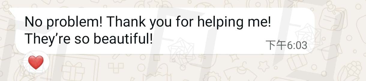 WhatsApp 原圖